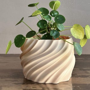 May include: A light beige, swirl-patterned ceramic planter with a green leafy plant inside.