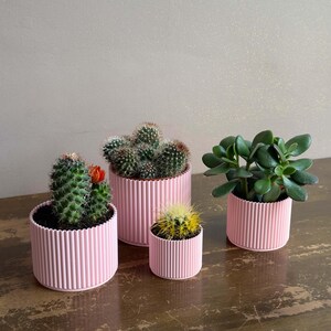 Pink Planter Set of 4: Modern Eco-Friendly Decor