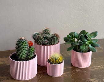 Pink Planter Set of 4: Modern Eco-Friendly Decor