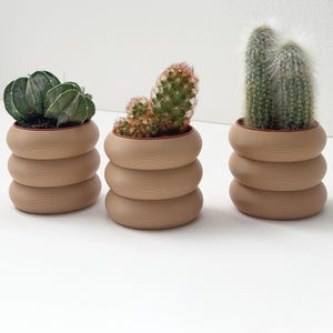 May include: Three cylindrical planters with a stacked, rounded ring design in a matte tan finish. Each planter holds a different green cactus: a dark green globular cactus, a small spiky cactus, and two tall, slender, fuzzy green cacti.
