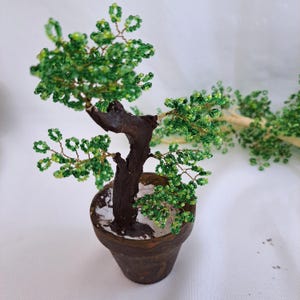 May include: A small green beaded bonsai tree with a brown wooden trunk in a brown terracotta pot.