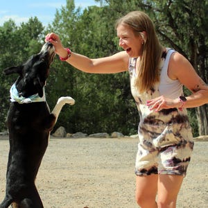 May include: A woman in a tie-dye romper plays with a black and white dog outdoors. The dog is jumping up to catch a treat. The background includes trees and a blue sky.