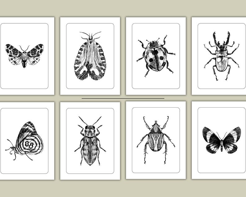 Insect Coloring Pages, Bugs and Insects Study (PDF) - Etsy