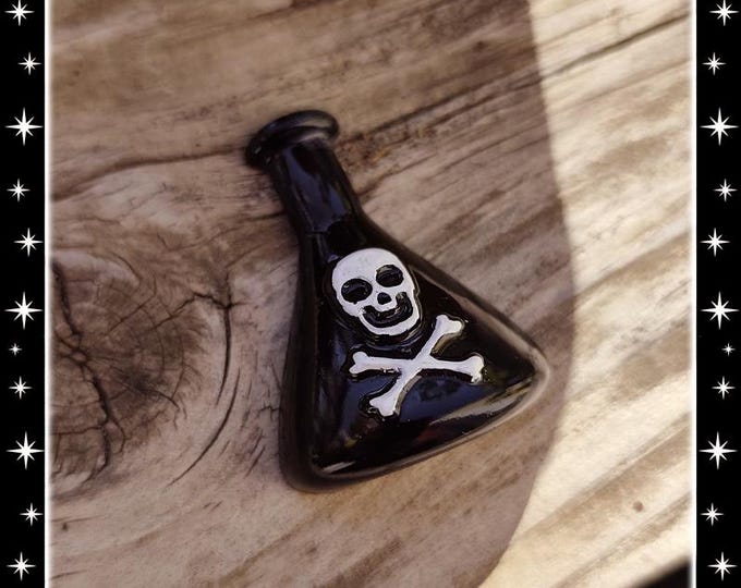 Poison Bottles - Brooch - Poison Jewelry - Poison Brooch - Witch Poison Bottle - Magic Potion - Poison Bottle Earrings - Glitter Paradise®