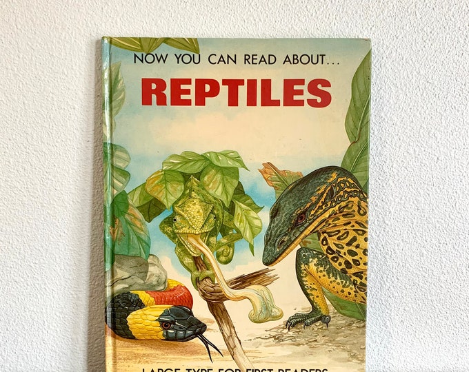 Now You Can Read About Reptiles Large Type For First Readers Hardcover