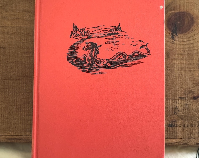 Summer of Surprise by Helen Reynolds Hardcover 1960 Vintage Book