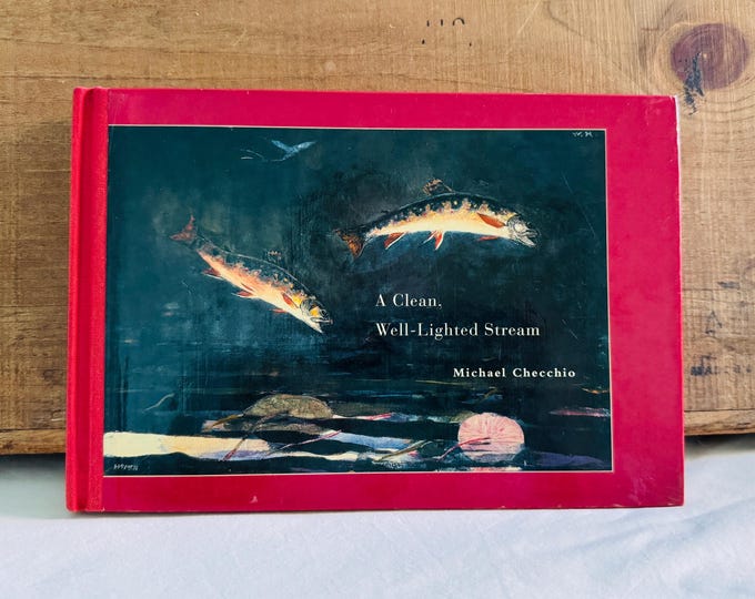 A Clean, Well-Lighted Stream By Michael Checchio Hardcover