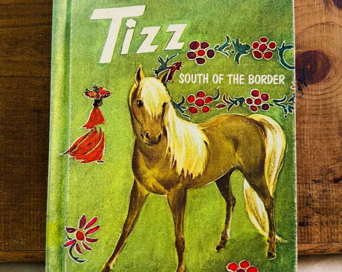 Tizz South Of The Border by Eliza Bialk Hardcover 1971 Vintage Book