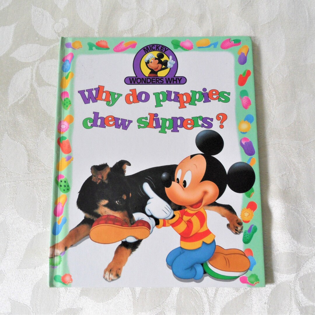 Why Do Puppies Chew Slippers Mickey Wonder Why Hardcover 1992 Etsy