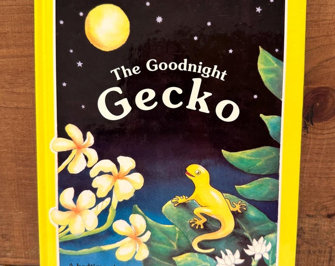 The Goodnight Gecko A Bedtime Story From Hawaii by Gill McBarnet Hardcover