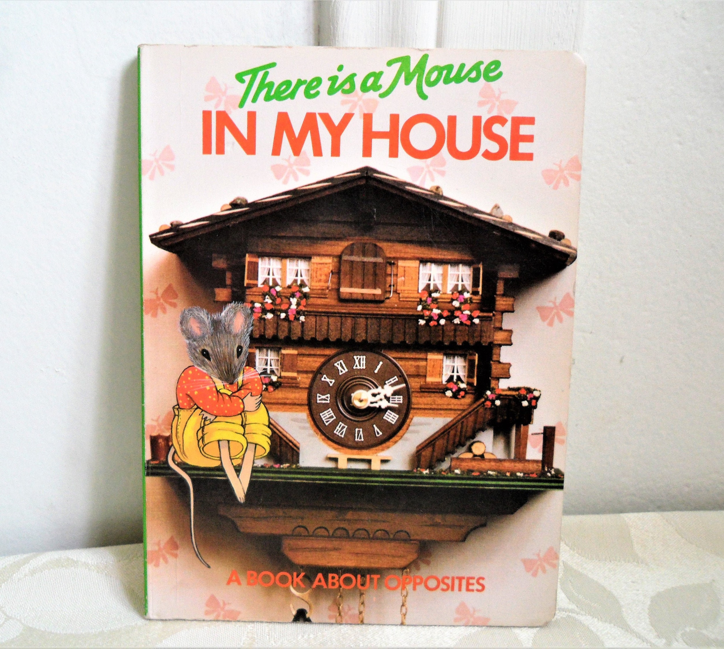There Is A Mouse In My House A Book Of Opposites Board Book | Etsy