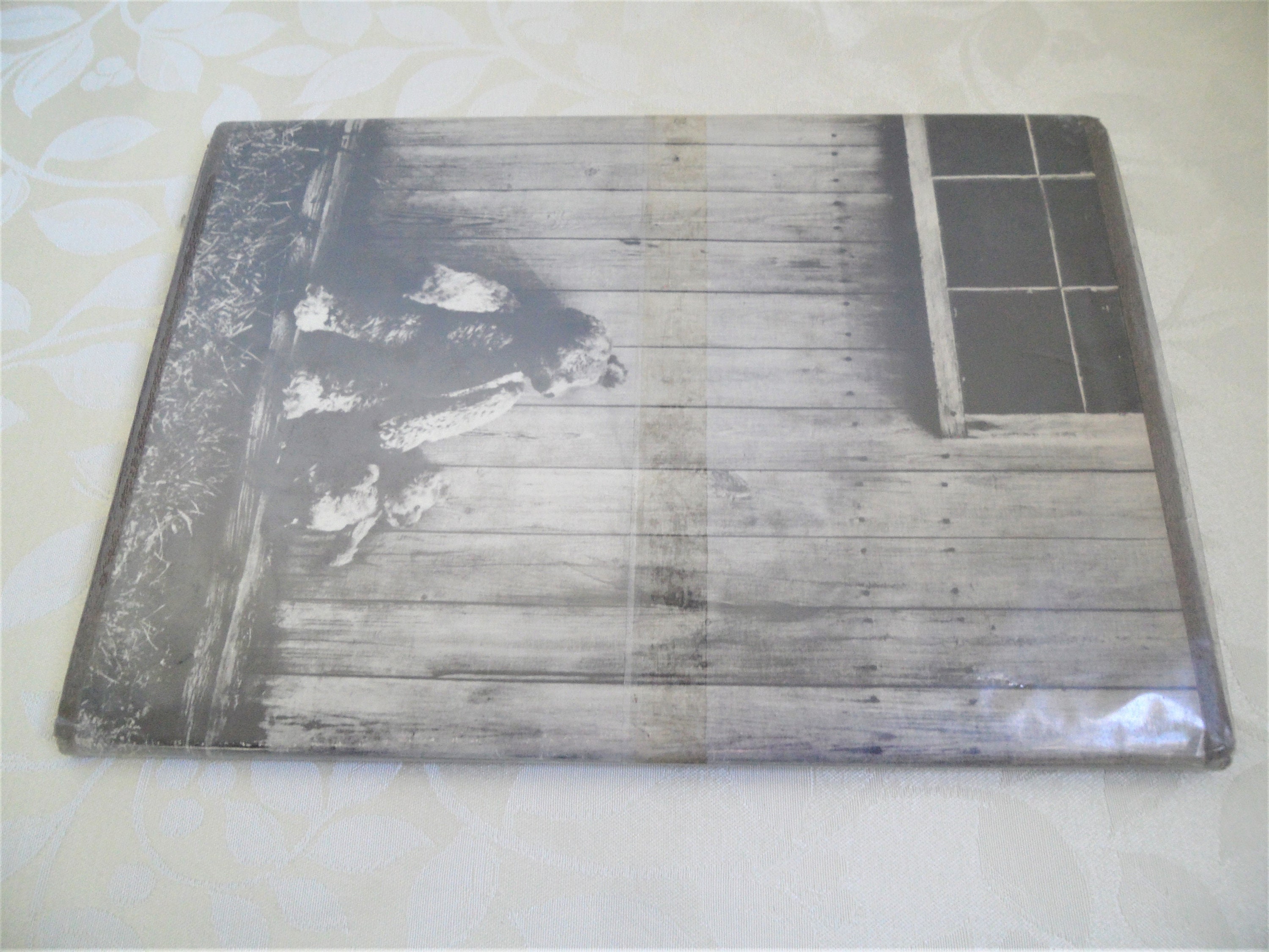 gallery photo