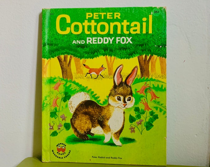 Peter Cottontail And Reddy Fox Wonder Books 1950s Children’s Book