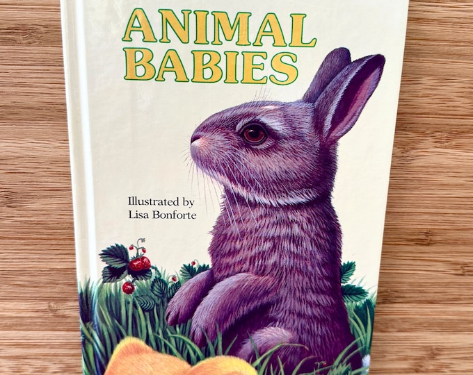 Animal Babies (Golden Sturdy Book) Illustrated by Lisa Bonforte Board Book 1988