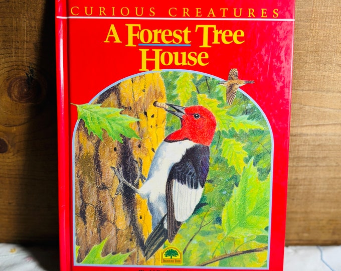 A Forest Tree House By: Sheryl A. Reda