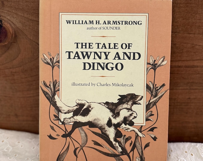 Tale of Tawny and Dingo by William H Armstrong Ills by Charles Mikolaycak HB