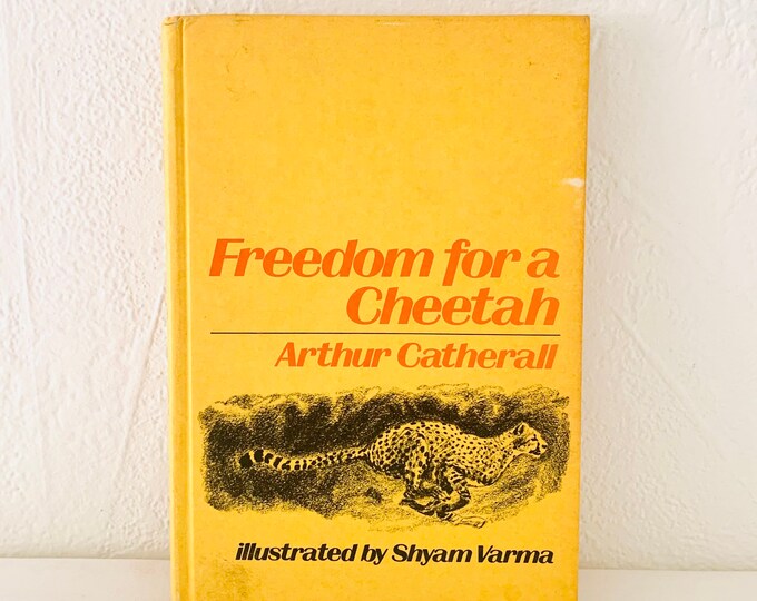 Freedom For A Cheetah - Arthur Catherall 1971 Hardcover