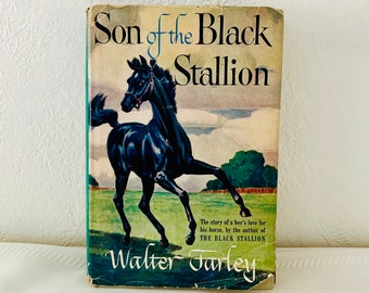 Son of the Black Stallion by Walter Farley Hardcover DJ 1947