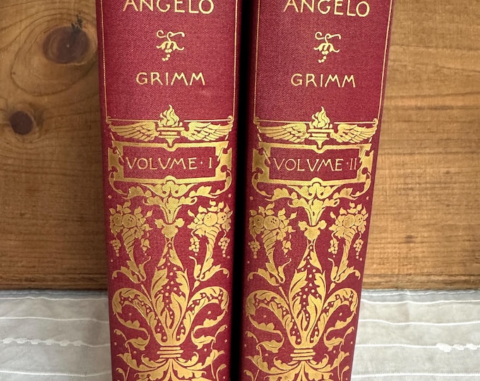Life of Michaelangelo by Herman Grimm (1897) Hardcover
