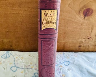 Wise And Otherwise By Pansy Boston D Lothrop Company by 1873