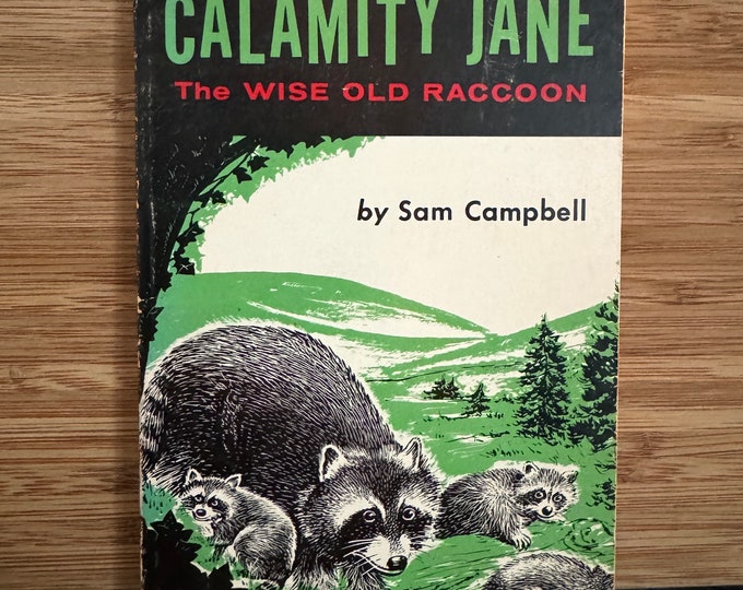 Calamity Jane, The Wise Old Raccoon by Sam Campbell ~ 1962
