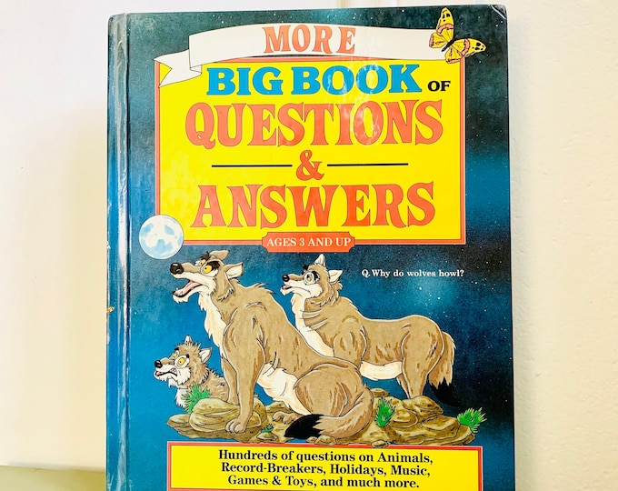 More Big Book Of Questions And Answers Hardcover