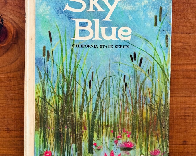 Sky Blue Book Caravan 1968 Witty Bebell Childrens Reading Education Hardcover California State Series