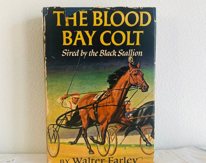The Blood Bay Colt by Walter Farley Hardcover DJ 1950