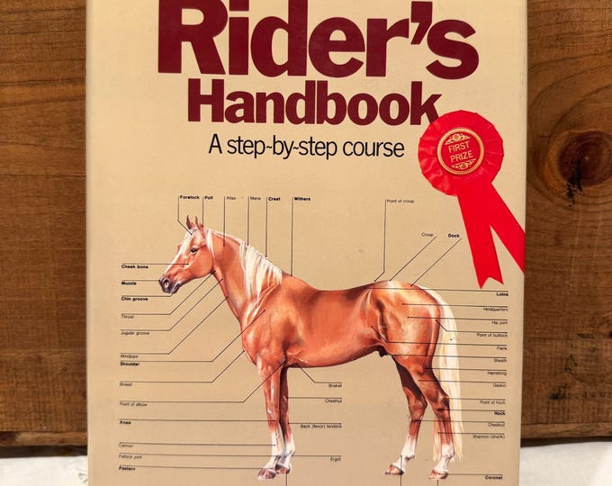 The Riders Handbook A Step-by-Step Course Sally Gordon 1979 Illustrated Hardcover DJ