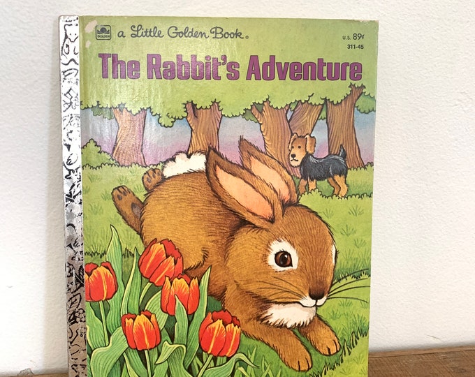 The Rabbit’s Adventure A Little Golden Book 1970s