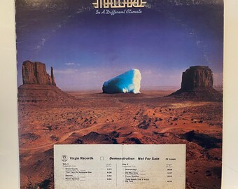 Mallard In a Different Climate 1977 Vintage Vinyl Promo Record