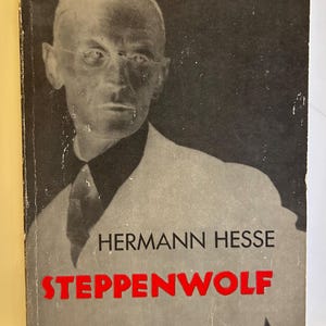 Steppenwolf - 1965 Vintage Paperback Book