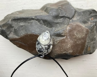 Fossil Pendant on Leather Cord