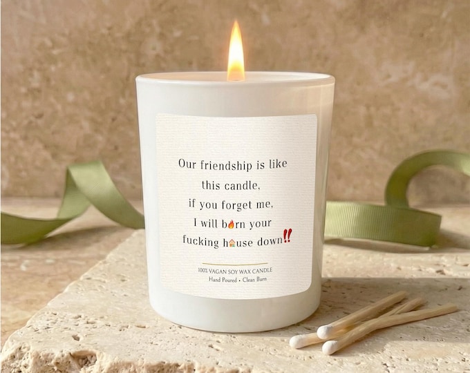 Funny Best Friend Gift, Rude Friendship Candle, Burn Your House Down Candle, Bestie Birthday Gift