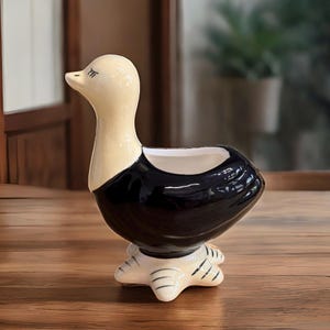Ceramic Ostrich Planter, Handmade Australia Pot, Black White Bird Plant Pot, Succulent Holder, Ring Dish Cute Animal Decor, Gift for Her