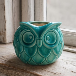 Könnte beinhalten: Ein teal-farbener Keramik-Blumentopf in Eulenform mit glänzendem Finish. Die Eule hat große, runde Augen und ein strukturiertes, schuppenartiges Muster auf ihrem Körper. Der Topf steht auf einer Holzoberfläche.