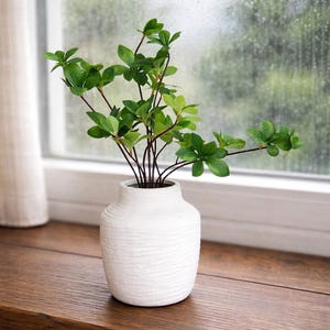 May include: A white textured vase holding a green leafy plant. The vase has a rounded shape and a textured surface. The plant has multiple stems with green leaves. The vase is sitting on a wooden surface.