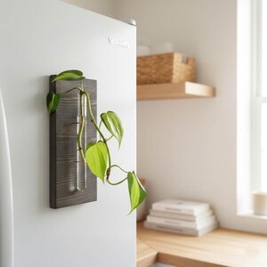 May include: A dark gray wooden wall planter with two clear glass tubes, holding a green and yellow plant. The planter is mounted on a white refrigerator. The plant has heart-shaped leaves.