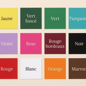 Puede incluir: Una cuadr&iacute;cula de dieciocho muestras de color cuadradas dispuestas en tres filas. Cada cuadrado presenta un color espec&iacute;fico y una etiqueta francesa correspondiente, incluyendo Terre cuite, Jaune, Vert fonc&eacute;, Vert, Turquoise, Bleu marine, Bleu ciel, Violet, Rose, Rouge bordeaux, Noir, Beige, Gris, Rouge, Blanc, Orange, Marron y Marron latte.
