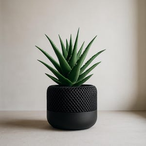 Peut inclure: Une plante d'aloe vera en pot. La plante a de longues feuilles vertes et épineuses. Elle est dans un pot noir avec un motif en treillis sur la partie supérieure et une base pleine. Le pot est posé sur une surface neutre.