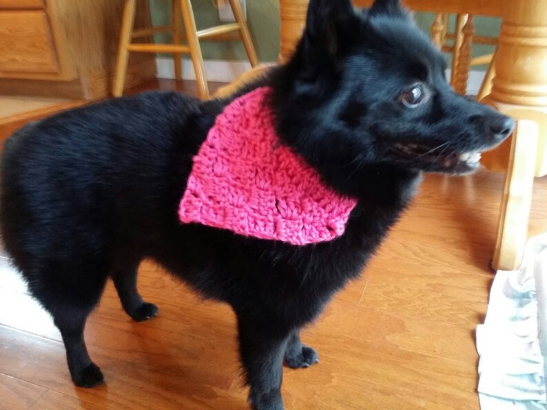 Red Dog Bandanna, Dog Accessories, Pet Accessory, Dog bandanna, Dog bandana, Dog Scarf, Dog Collar, Dog clothes, Dog clothing, Pet Clothing image 3