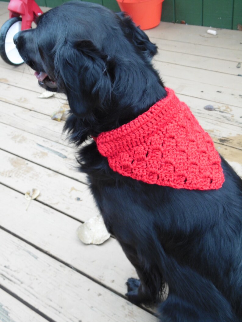 Red Dog Bandanna, Dog Accessories, Pet Accessory, Dog bandanna, Dog bandana, Dog Scarf, Dog Collar, Dog clothes, Dog clothing, Pet Clothing image 5