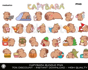 Kawaii Capybara Clipart Bundle, Rodent Art (PNG File)