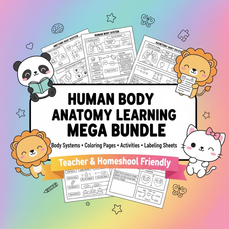 Human Anatomy Learning Worksheets, Homeschool Activities (PDF Pattern ...