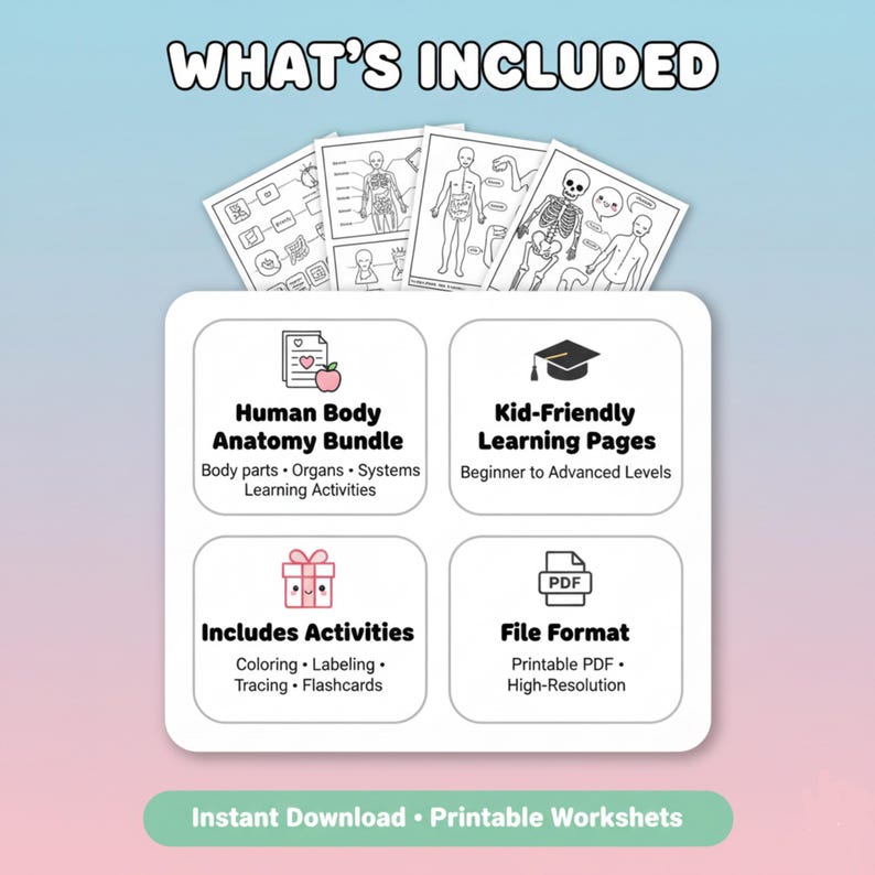 Human Anatomy Learning Worksheets, Homeschool Activities (PDF Pattern ...