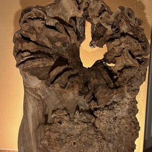 Könnte beinhalten: Ein großes, kunstvoll geschnitztes Stück Treibholz in natürlicher, rustikaler brauner Farbe. Das Holz hat eine einzigartige, organische Form mit vielen Löchern und Spalten.