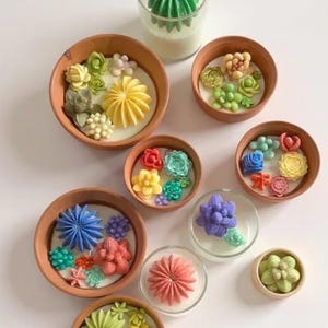 Summer Succulents Collection Candles (Multi Sizes)
