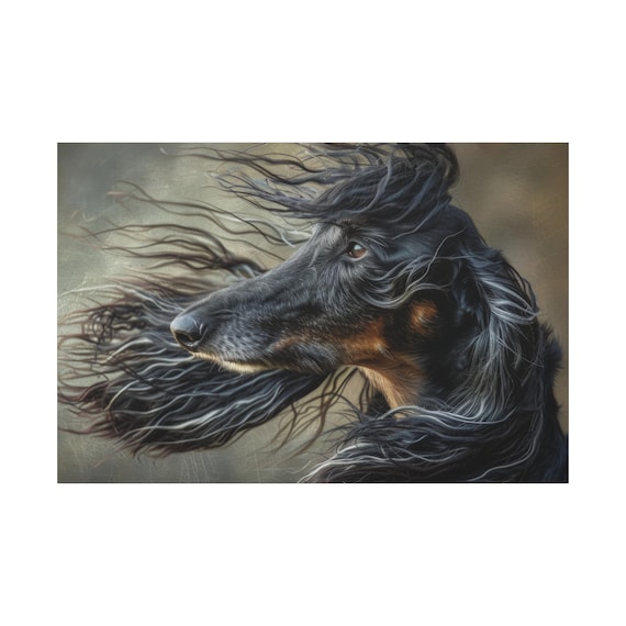 Dog Wall Art, Stunning Windblown Afghan Hound Matte Canvas, Gift
