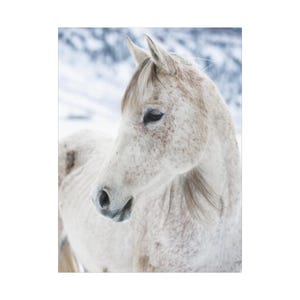 Arabian Horse Canvas Art: Serene Mountain Landscape