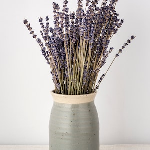 May include: A bunch of dried lavender flowers in a grey ceramic vase with a white rim. The vase has a speckled glaze.